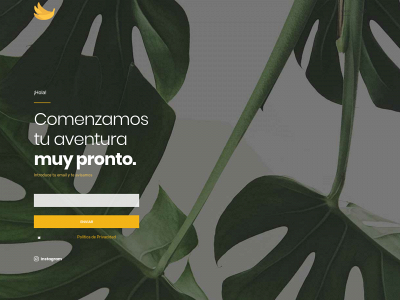 creativebanana.es snapshot