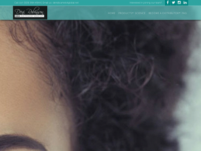 denirobinson.com snapshot