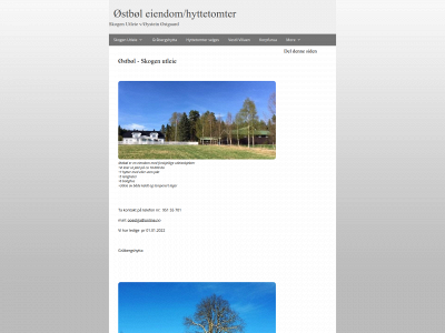 skogenutleie.com snapshot