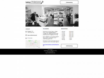 salonfigaro.dk snapshot