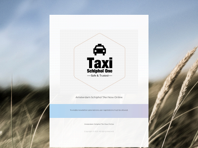 taxinow.online snapshot