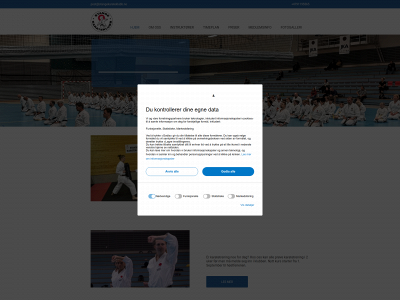 stangekarate.no snapshot