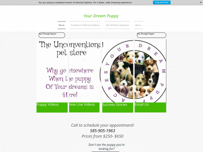 yourdreampuppy.com snapshot