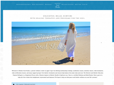 holisticsoulstudio.com snapshot