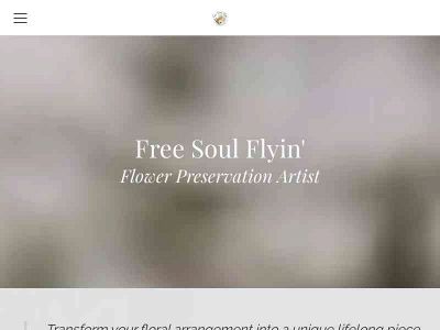 www.freesoulflyin.com snapshot