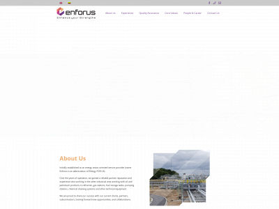 enforus.lt snapshot