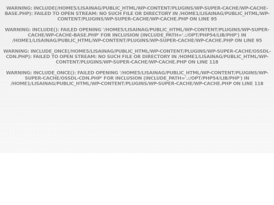 lisainagawa.com snapshot