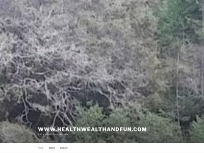 healthwealthandfun.com snapshot