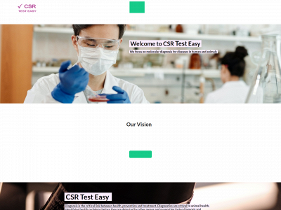 testeasy.se snapshot