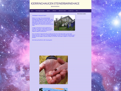 kjerringhaugen.com snapshot