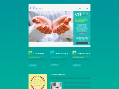 ch-foundation.nl snapshot