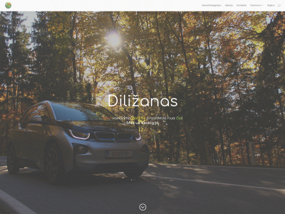 dilizanas.lt snapshot