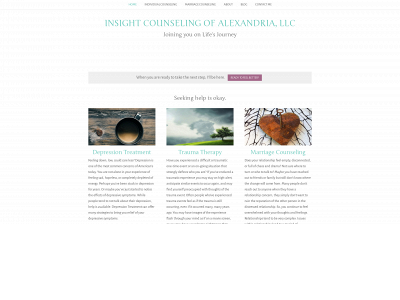 insightcounselingalexandria.com snapshot