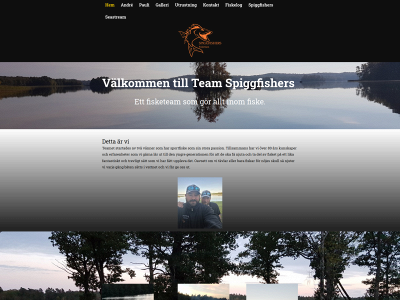 spiggfishers.com snapshot