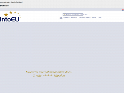 intoeu.eu snapshot