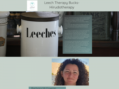 leechtherapybucks.co.uk snapshot