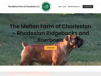 themeltonfarm.com snapshot