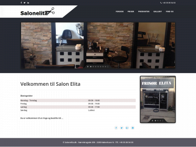 salonelita.dk snapshot