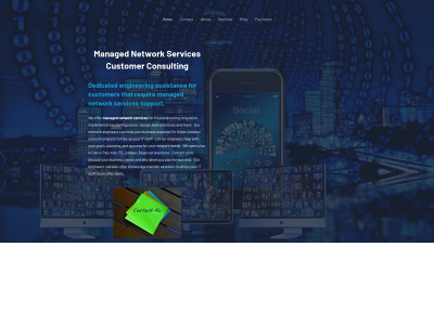 projectnetworkservices.com snapshot