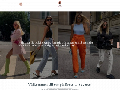 dresstoshine.online snapshot