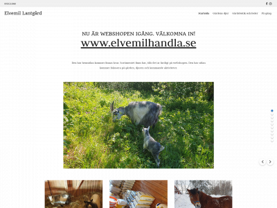 elvemil.se snapshot