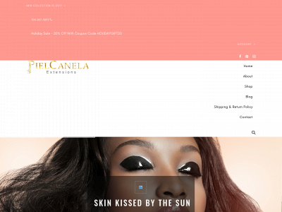 pielcanelaextensions.com snapshot