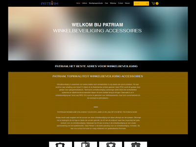 patriam-nl.com snapshot