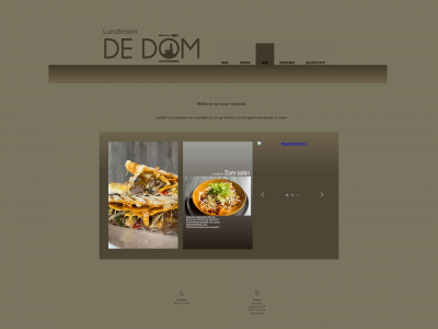 dedomcuijk.nl snapshot