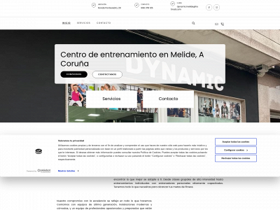 www.dynamicmelide.com snapshot