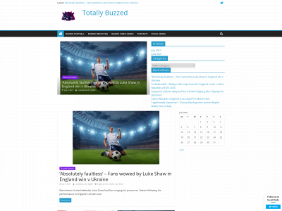 totallybuzzed.co.uk snapshot