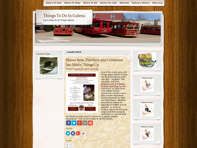 thingstodoingalena.com snapshot