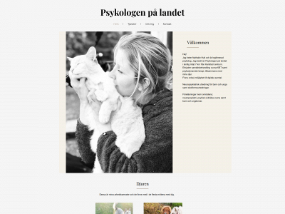 psykologenpalandet.se snapshot