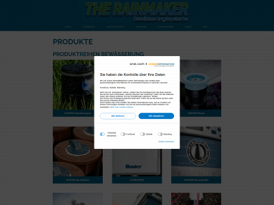 the-rainmaker.store snapshot