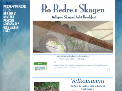 skagenbb.dk snapshot