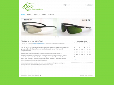 safetysourcinggroup.com snapshot