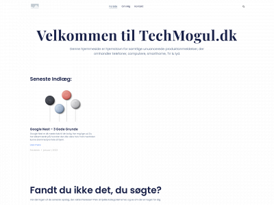 techmogul.dk snapshot