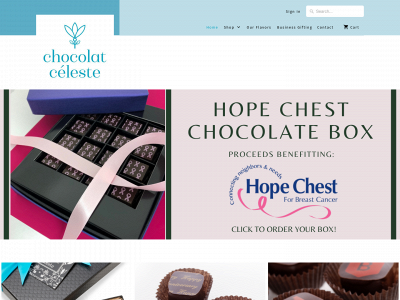 www.chocolatceleste.com snapshot