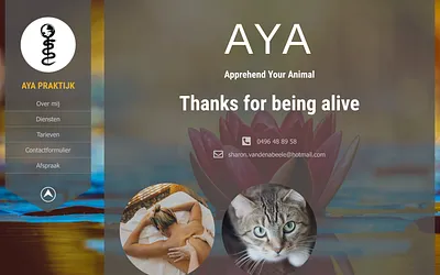 ayapraktijk.be snapshot
