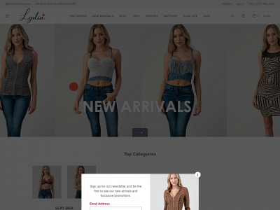 lydiausa.com snapshot