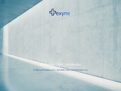 www.exynetechnology.com snapshot
