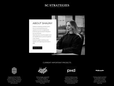 sc-strategies.be snapshot