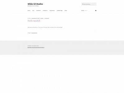 pamwilderart.com snapshot