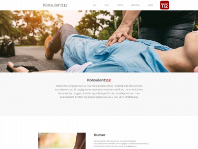 konsulent112.dk snapshot