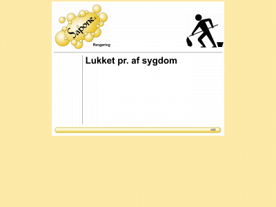 sapone.dk snapshot