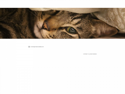 metanoiabels.com snapshot