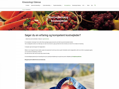 kostvejleder-odense.dk snapshot