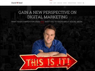 davidsteel.com snapshot