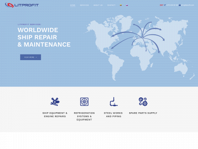 litprofit.com snapshot