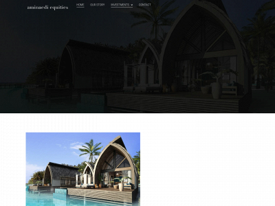 aminaedi.com snapshot