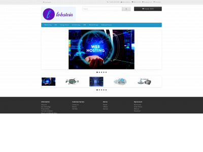 lobstein.us snapshot